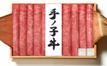 手ノ子牛 サーロインすき焼用300g